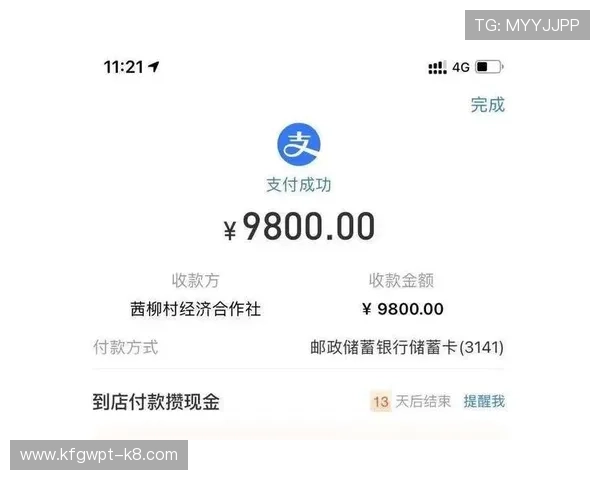 凯发ag支付方式多样化保障资金快速到账满足不同用户需求