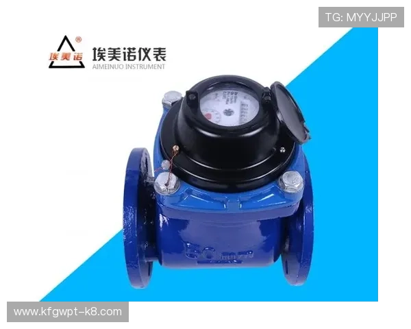 K8凯发手机版会员登录常见问题及解决方案，帮助用户轻松应对登录难题